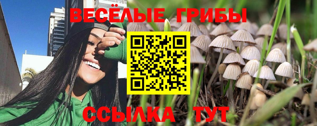 Новокубанск  Псилоцибиновые грибы прущие грибы  Вход с VPN 